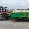 Ove zime u Bosni i Hercegovini neće faliti domaćeg kiselog kupusa