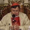 Kardinal Puljić: Ovo je vrijeme raznih kušnji koje čovjek proživljava