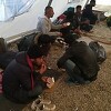 Oružane snage BiH montiraju vojne šatore u migrantskom kampu Lipa