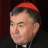 Kardinal Puljić: Iznimno sam potresen smrću mladih osoba u Posušju