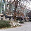 Veterinarski fakultet u Sarajevu nije ovlašten uzimati bris za PCR, ali naplaćuje ovu uslugu