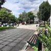 Udruženje pejzažnih arhitekata: Sačuvati zelenilo na sarajevskom Trgu oslobođenja