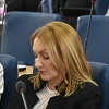 Zastupnica Hodžić kritikovala povećanje doprinosa obrtnicima: Režemo granu na kojoj sjedimo