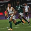 Palmeiras u 99. minuti srušio Santos i postao prvak Južne Amerike