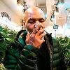 Mike Tyson zarađuje milione dolara uzgojem i prodajom marihuane u Kaliforniji