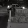 Ranjen šetač pasa Lady Gage, ukradena dva francuska buldoga