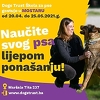 Dogs trust Škola za pse u aprilu gostuje u Mostaru
