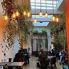 Engleska počinje sa ublažavanjem restriktivnih mjera 12. aprila