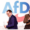 Njemačka: Desničarski AfD u krizi, stranka još uvijek bez kandidata za parlamentarne izbore