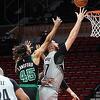 Clippersi nastavili pobjednički niz, osam Nurkićevih poena u tijesnom porazu Blazersa od Celticsa