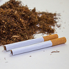 Kako izgleda naša borba protiv šverca cigaretama: 16 inspektora na uigrane ekipe koje vrte milijarde