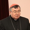 Osoba koja je u Travniku prešla na islam ipak nije bratić kardinala Puljića