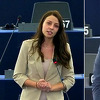 Slovenski zastupnici u EU pisali Charlesu Michelu: Odbijte "non paper"
