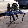 Njujorška policija odustala od robotskog psa