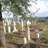 Vezanih nogu i vrata: Počela ekshumacija ljudskog kostura nađenog pri kopanju mezara u Doboju