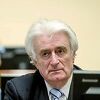 Radovan Karadžić ostatak doživotne robije služit će u Velikoj Britaniji