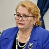 Turković: Srbija rizikuje ulaskom u projekt izgradnje hidroelektrane "Buk Bijela"