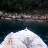 Medvjed uživao u kupanju u moru kod Neuma