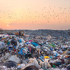 Nova studija otkrila da 55 posto plastičnog otpada u svijetu proizvodi 20 kompanija