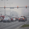 Magla na dionicama uz rijeke, kolovoz vlažan
