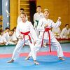 Predstojećeg vikenda počinje Karate liga Kantona Sarajevo uz učešće 500 djece