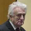 Ratni zločinac Radovan Karadžić prebačen u zatvor u Veliku Britaniju