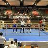 Završen Međunarodni kickboxing kup "Grand Prix BiH", učestvovalo 436 takmičara