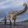 U Australiji pronađen primjerak nove vrste dinosaura, spada među najveće na svijetu