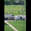 Građani u Sarajevu spasili psa lutalicu od nehumanog postupanja šintora