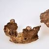 Neandertalci nemaju čisto evropsko porijeklo kako se vjerovalo