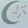 Iz Rijaseta poručuju da stavovi "islamskih influensera" o statusu žena nisu njihovi