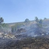 Požar južno od Mostara, zbog vjetra i visokih temperatura brzo se širi