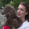 Bizarna scena u Banjoj Luci: Žena krvnički ugrizla psa u kafiću