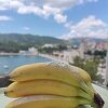 Ploče: U paketima s bananama u trgovačkom centru pronađeno 18,2 kilograma kokaina