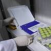 Austrija donira 480.000 vakcina AstraZeneca Bosni i Hercegovini, isporuka u augustu