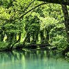 Prašuma Janj kod Šipova proglašena prirodnim dobrom od svjetskog značaja UNESCO-a