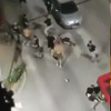 Brutalna tučnjava navijača Crvene zvezde i Partizana u Zvorniku, dvojica teško povrijeđena