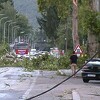 Tokom nevremena u Bihaću grana s drveta pala na jednu osobu i usmrtila je