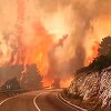 Hrvatski vatrogasci objavili snimak dramatičnog požara u Dalmaciji
