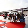 Sarajevo Film Festival u Mostaru traži volontere