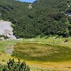 Lokvanjsko jezero, ukras Bjelašnice, nestaje pod barskim biljem
