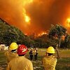 Požari i dalje haraju Grčkom: Plamen ide prema kućama, jučer se srušio vatrogasni avion