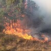 Vjetar otežava gašenje požara kod Tomislavgrada, Hrvatska pomaže s kanaderima