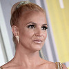 Otac Britney Spears konačno pristaje na povlačenje s pozicije skrbnika pjevačice