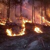 U Hercegovini i dalje aktivna četiri požara, u Jablanici proglašeno stanje prirodne nesreće