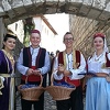 Otkazivanjem Sajma šljive u Gradačcu prekinuta dugogodišnja privredna tradicija