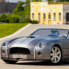 Shelby Cobra Concept prodan za 2,64 miliona dolara