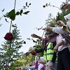 Crvene ruže na kamenoj grobnici za duše ubijenih Bošnjaka i Hrvata na Korićanskim stijenama