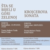 Pozorišne predstave subotom na sceni Teatra Kabare Tuzla