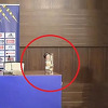 Petev nakon pobjede protiv Kuvajta obećao šampanjac pa pokazao da je "čovjek od riječi"
